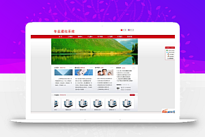 网展中英企业网站系统蓝色风格