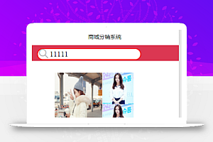 热门新款图文商城首页分销系统程序源码