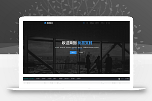 个人支付源码,支付系统源码下载/支付宝网银/支付宝网关软件/PC端监控+文字教程