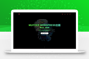 作品展示Muiteer主题 破解无限制版 WordPress主题模板