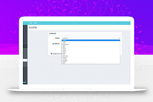 新代刷网源码 自带十八套模板风格