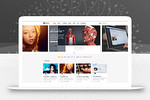 RiPro主题_日主题_高级素材资源收费下载类WordPress主题模板 持续更新