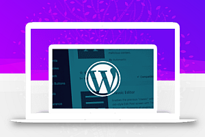 WordPress阻止网站启用Google FLoC跟踪技术