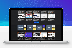 ripro新用户界面的全面美化(单独购买包制作)“附带演示”WordPress美化教程