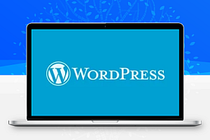 为RiPro主题按钮加彩色