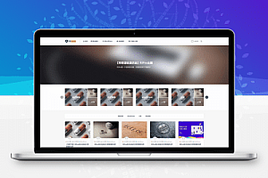 Ripro7.1天主题快乐版解密源代码无限版授权