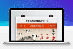 【H5在线支付命名源码】最新上线的名人赚钱项目+宝贝命名+八字命名+周易命名+周易八字命名平台网站【带示范站】