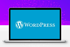 wordpress修改上传限制