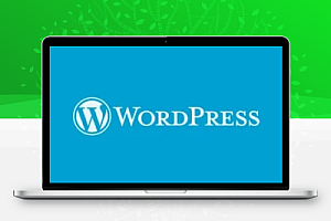 WordPress教程-彻底移除wordpress附带的元标签