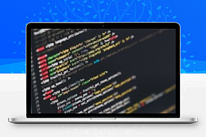 WordPress启用CDN加速/缓存以自动加载最新的js和CSS文件