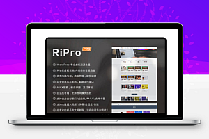 wordpress主题RiPro8.9日主题 开心免授权完整版