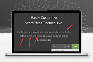 WORDPRESS网站CSS工具,用于已有WP的网站插件