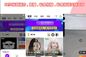 二开运营版一对一语音视频交友直播app系统源码