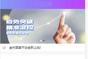 最新单手机版双融 金融系统thinkphp源码 带静态推广官网