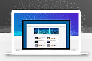 亲测源代码-zibll3.3对授权没有比主题更大的限制