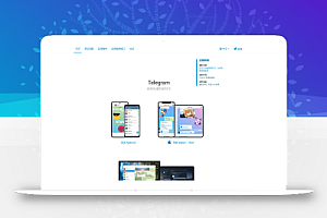 高仿telegram源码/TG地址更换源码/假飞机源码/带官网下载页面
