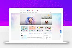 PRO主题5.4.2免授权版本(直接安装)