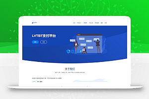 聚支付系统免授权全网首发