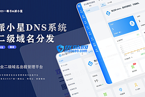 2025派小星DNS二级域名分发源码