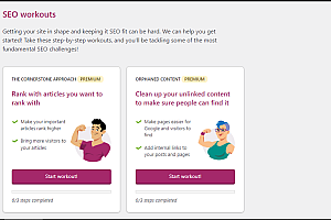 WordPress SEO插件– Yoast SEO Premium v24.9
